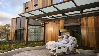 What’s The Deal with Kimchi – And Is It Good for You